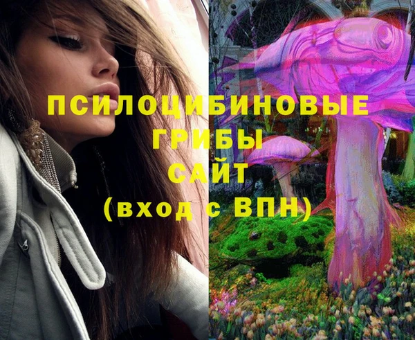 PSILOCYBIN Алексин