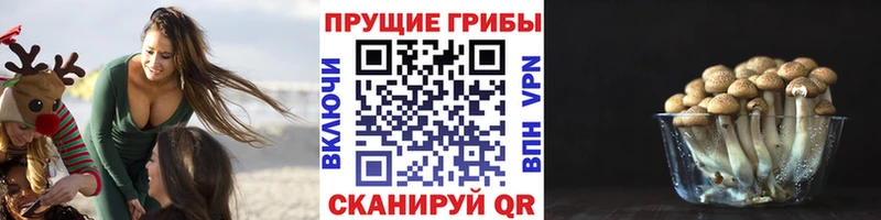 Галлюциногенные грибы ЛСД  Находка 